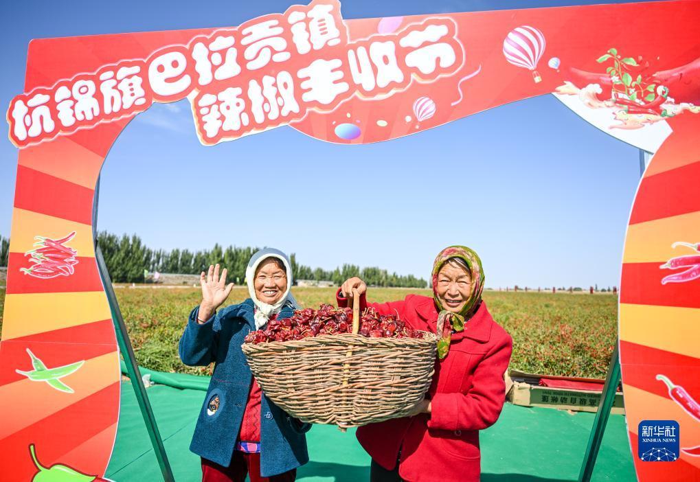 众赢优互